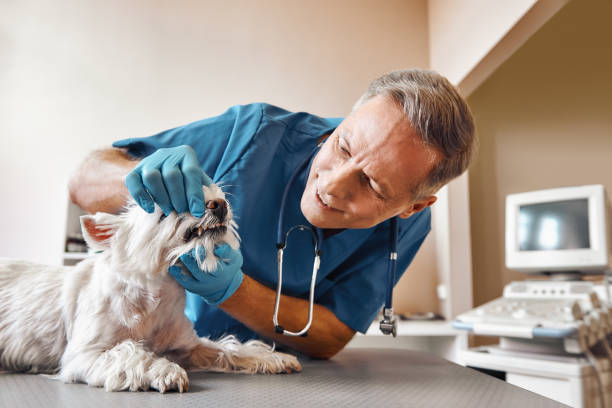 Best Tooth Pain Emergency Relief  in Eudora, KS